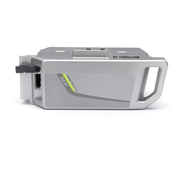 Panasonic Next Generation | 36V 18Ah | Geld
