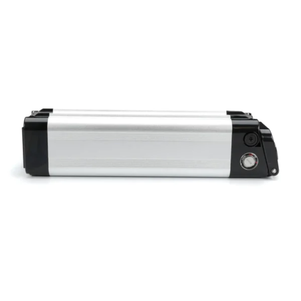 Phylion XH259-10J Silverfish 24V 12Ah (silber) Ersatzbatterie