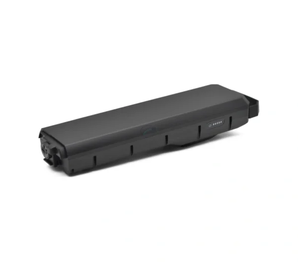 Bosch PowerPack 540 | Performance/Active | Gepäckträger | von E-Bike Vision