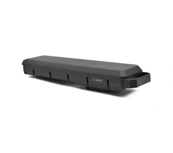 Bosch PowerPack 540 | Performance/Active | Gepäckträger | von E-Bike Vision