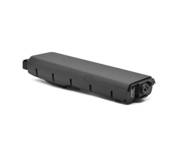 Bosch PowerPack 540 | Performance/Active | Gepäckträger | von E-Bike Vision
