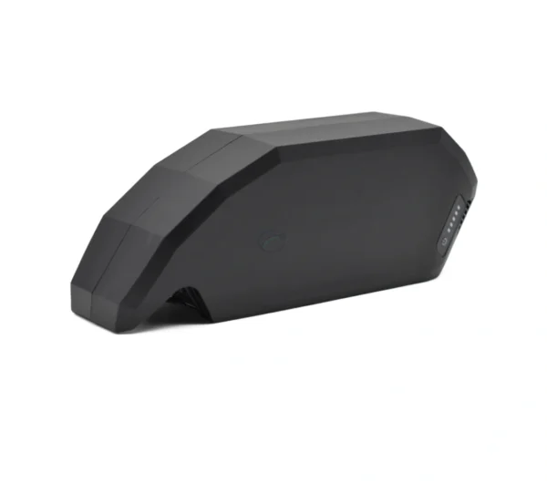 Bosch PowerPack 700 | Performance/Active | Rahmen | von E-Bike Vision.
