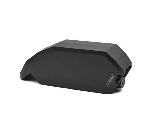 Bosch PowerPack 700 | Performance/Active | Rahmen | von E-Bike Vision.