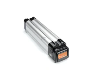Phylion XH259-10J Silverfish 24V 12Ah (silber) Ersatzbatterie