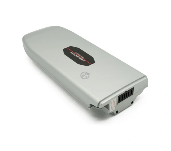 Sparta E-Motion E-Serie | 36V 13Ah | Silber