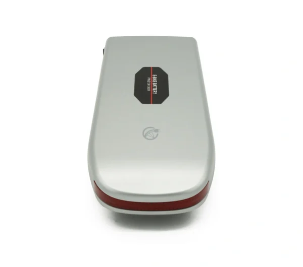 Sparta E-Motion E-Serie | 36V 13Ah | Silber
