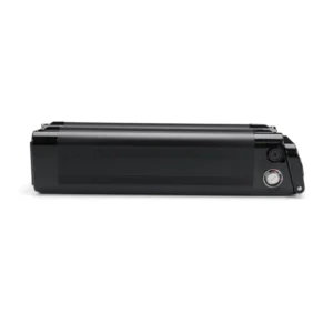 Phylion XH259-10J Silverfish 24V 12Ah (schwarz) Ersatzbatterie