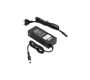Maratron BionX 48V Ladegerät