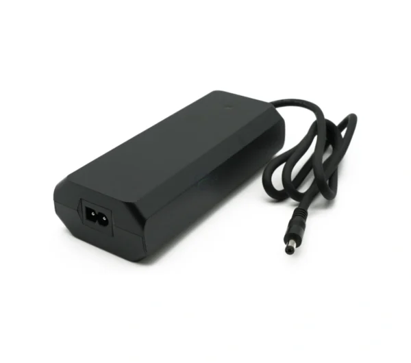 Rad Power Bikes 48V 2A Loader